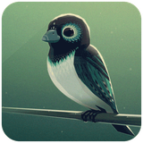 green.boostan