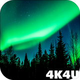 com.lwp4k4u.polar