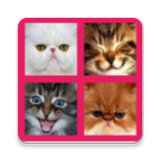 corp.seedling.game2048.cute.cats