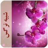 com.imnet.shabihenarges