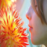 lion.pc.flower