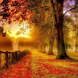 com.myapp.Autumn.WallpaperHD