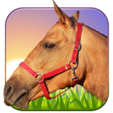 com.pooandplay.ridehorse3D