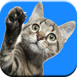 com.andromo.dev442382.app410128