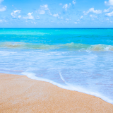 vr.development.summer.wallpapers.hd
