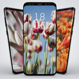 com.wallpapernew.wptulipnew