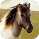 com.andromo.dev230101.app214374