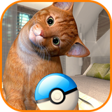 us.AnimalPlays.CatchCats