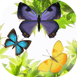 com.rubbishcollector.butterflylivewallpaper