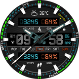 watch.richface.androidwear.digitalmonster