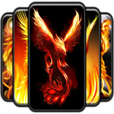 com.andromo.dev623845.app681414