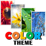 com.broccolisoft.broccoliwallpapercolor