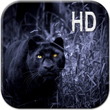 com.BlackPanterLiveWallpaperApp