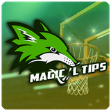 com.magicaltips.freebasketball