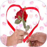 golestan.hamsardary