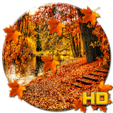 com.apusapps.livewallpaper.fallseason_928d12fd