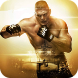 com.maral.ufc