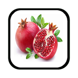 com.amjad.fruit2048