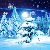 com.blackbirdwallpapers.winterforest