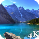 com.lyx.livewallpapers4k