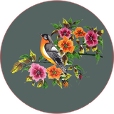 com.khorshid_ht.amozeshnaghasheroyeparche