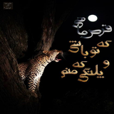 ir.sher.sh