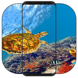 com.khamarnache.tortoisewallpaper.offline