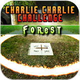 com.rzerogames.charlieforest