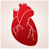 com.sevenactivestudio.medicaltuts