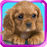 pl.infinzmedia.dogcapsfree