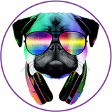 ir.mori.mr.dog