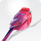 com.pixign.lowpoly.coloring.book