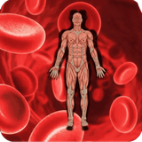 com.notarin.anemia