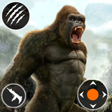 salari.kong.run14