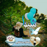 ir.ali.gholami.SHIVA