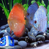 com.lwploft.discusfish