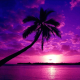 com.wikitech.hdwallpapersoffline
