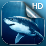 com.DreamSharkLiveWallpaper