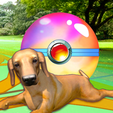 com.puppy.go