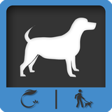 dog.chaparel.ir