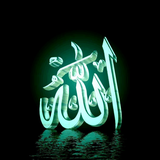 revenge.livewp.allah