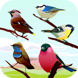 com.leafgreen.bird.sounds