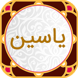m.mosavian.yasin