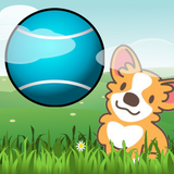 com.LKSmart.CorgiWorldTour