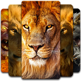 com.lion.wallpaper.animal.background
