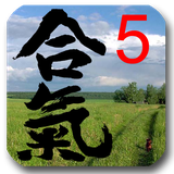 com.aikidotest.kyu5