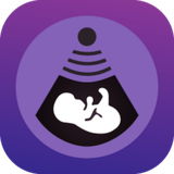 com.meshref.engpregnancy