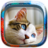 com.happy.studio.puzzle.cats