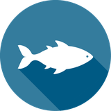 com.fish.diseases