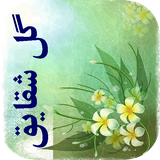 com.imnet.goleshaghayegh